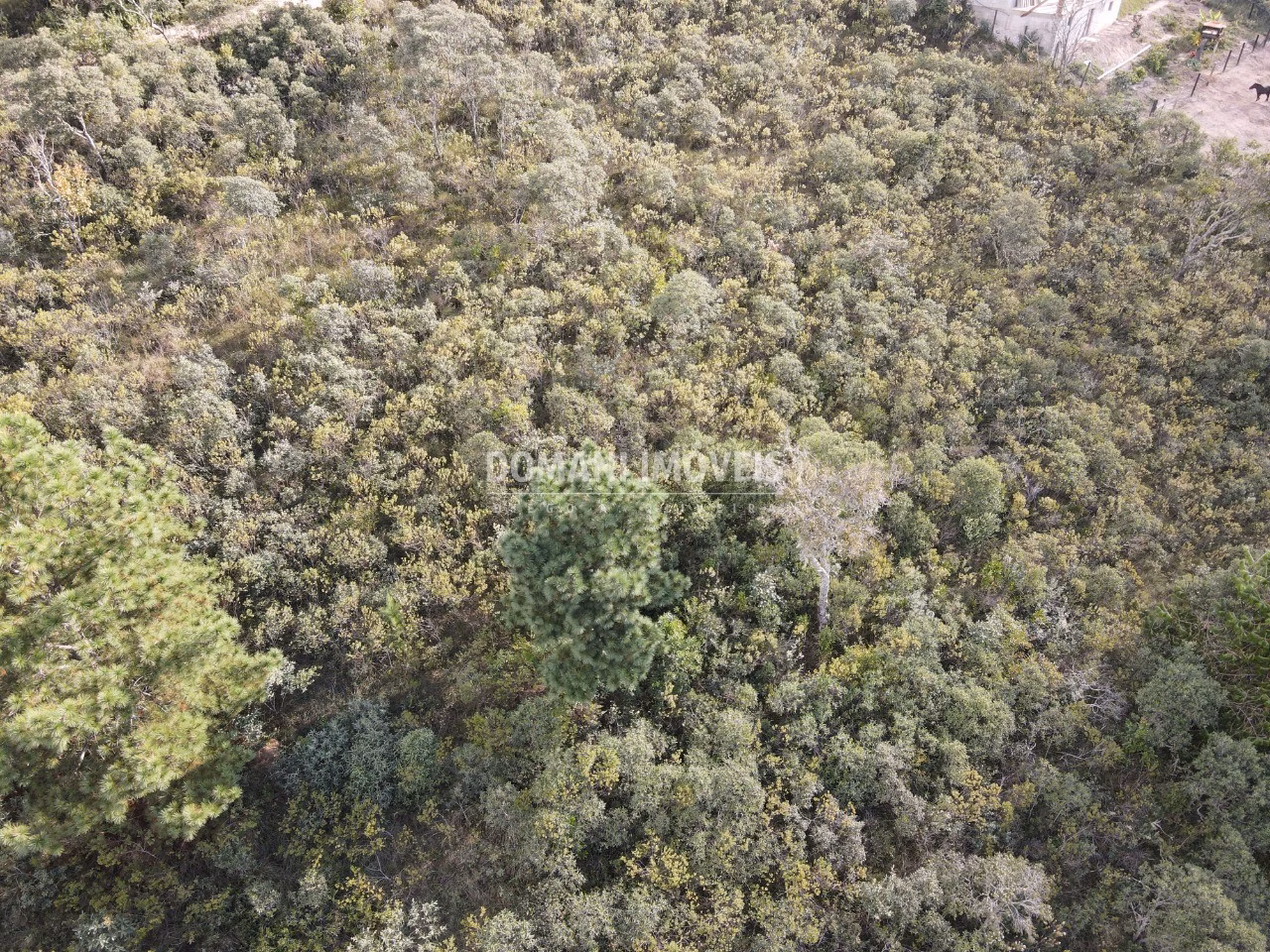 Plot of 1,010 m² in Campos do Jordão, SP, Brazil