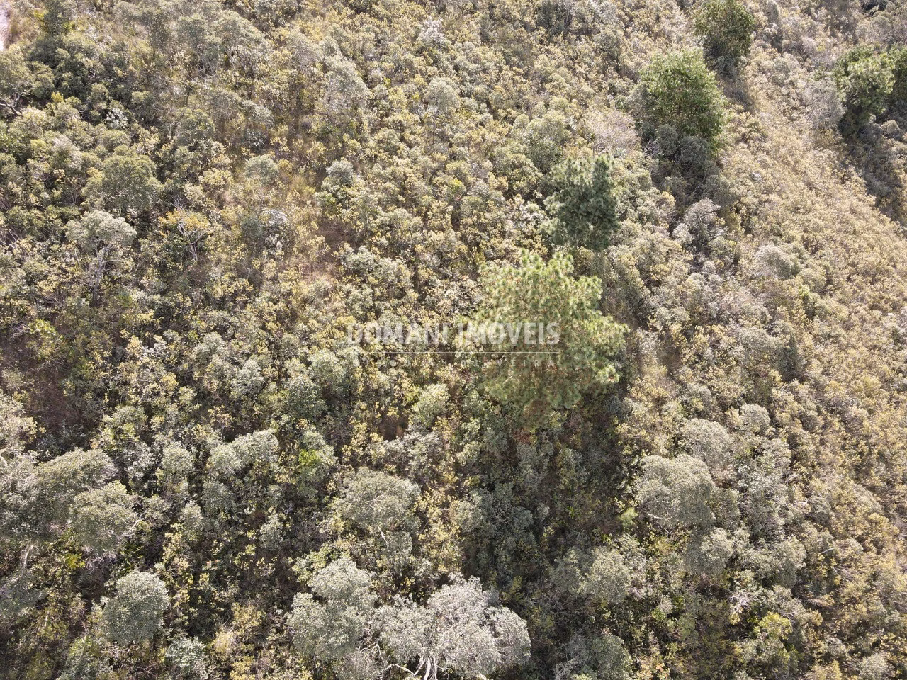 Plot of 1,010 m² in Campos do Jordão, SP, Brazil