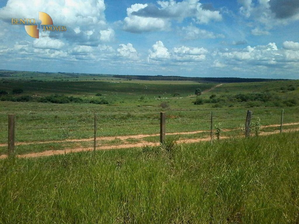 Fazenda de 18.000 ha em Vila Rica, MT