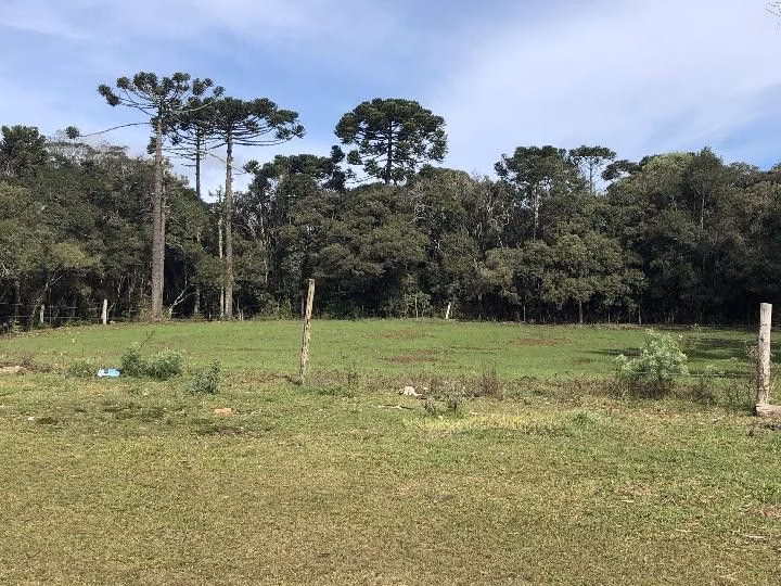 Fazenda de 318 ha em Cambará do Sul, RS