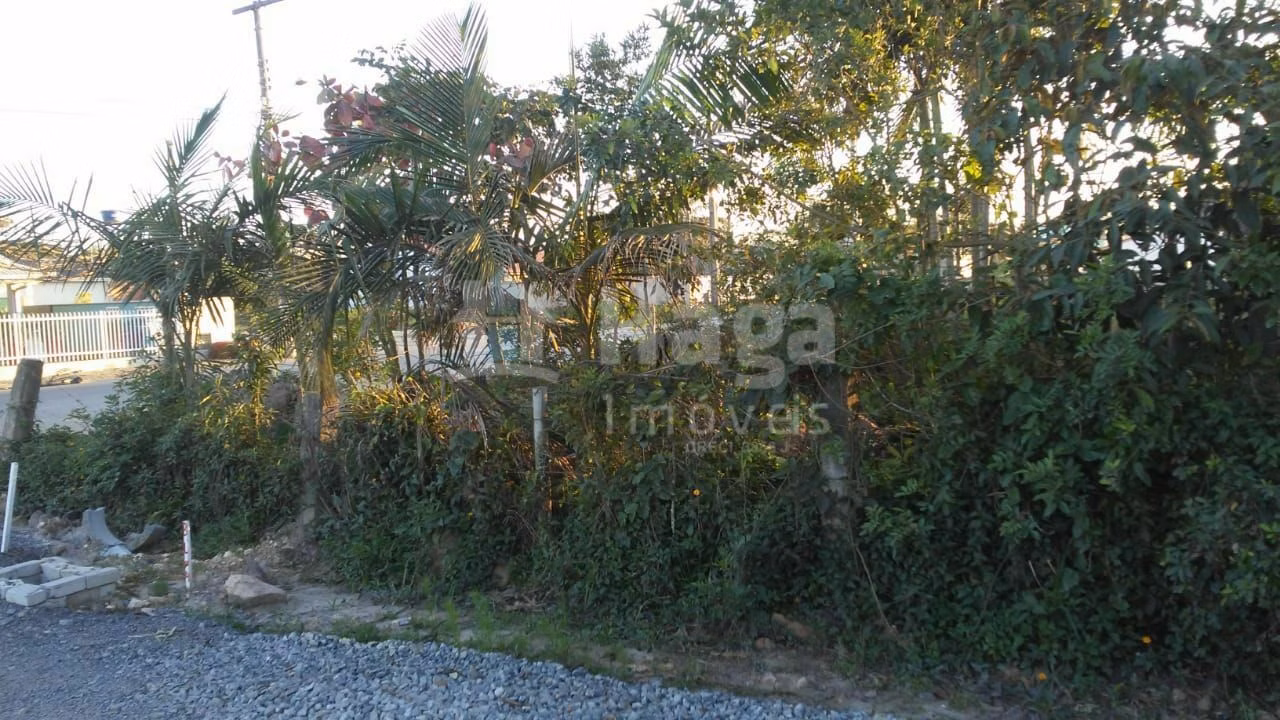 Terreno de 300 m² em Barra Velha, SC
