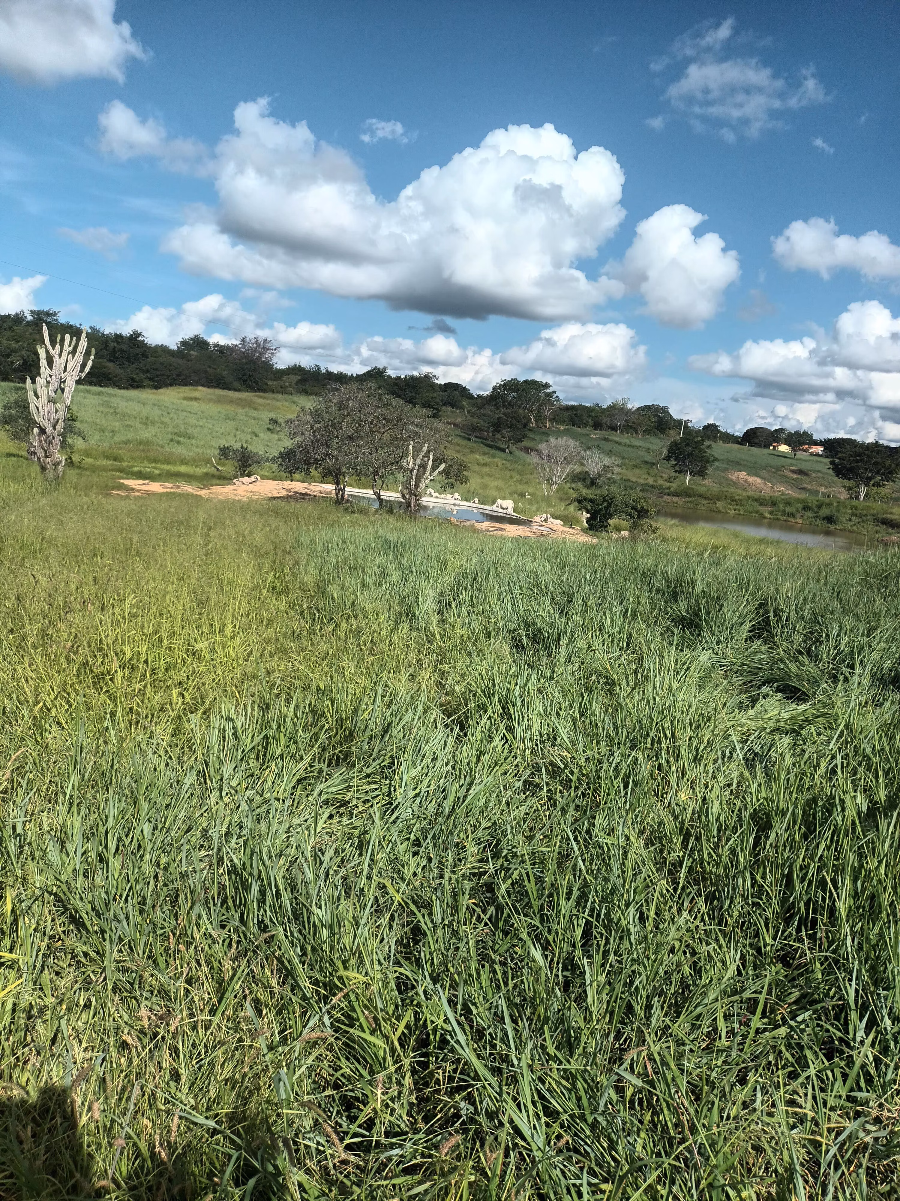 Hacienda en venta de 102 ha en Vitória da Conquista, BA