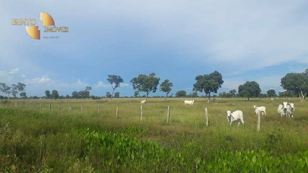 Farm of 40,619 acres in Poconé, MT, Brazil