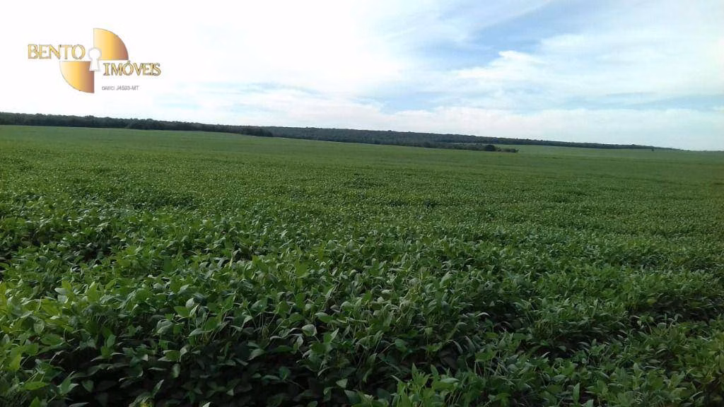 Fazenda de 2.040 ha em Ribeirão Cascalheira, MT