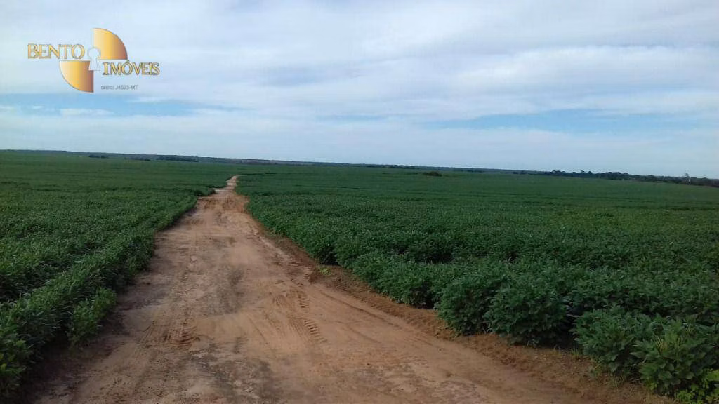 Fazenda de 2.040 ha em Ribeirão Cascalheira, MT