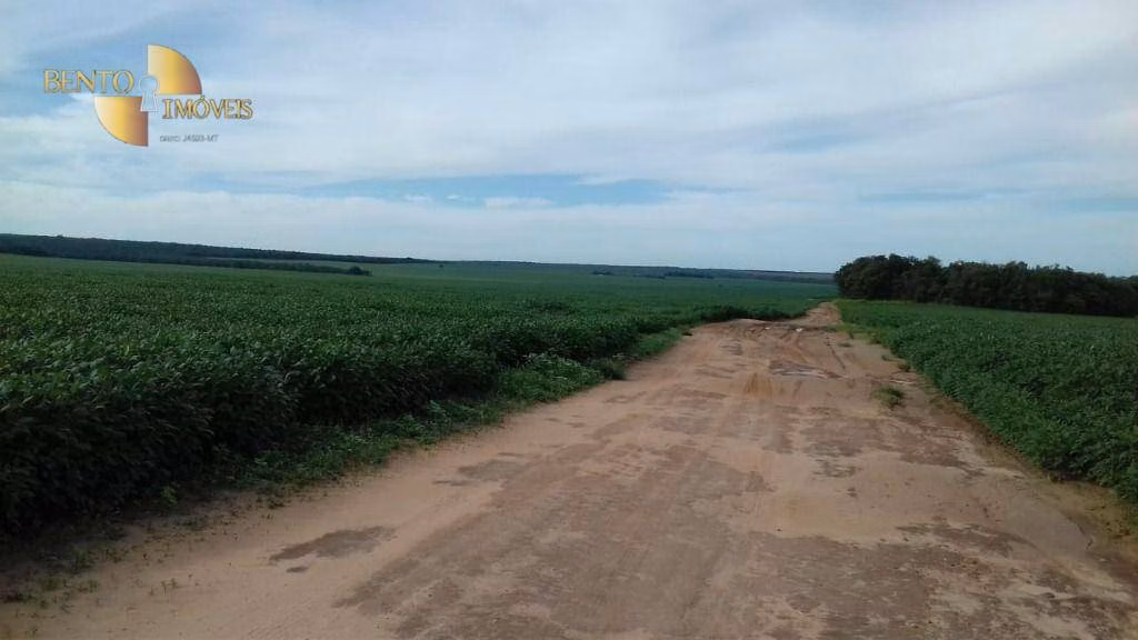 Fazenda de 2.040 ha em Ribeirão Cascalheira, MT
