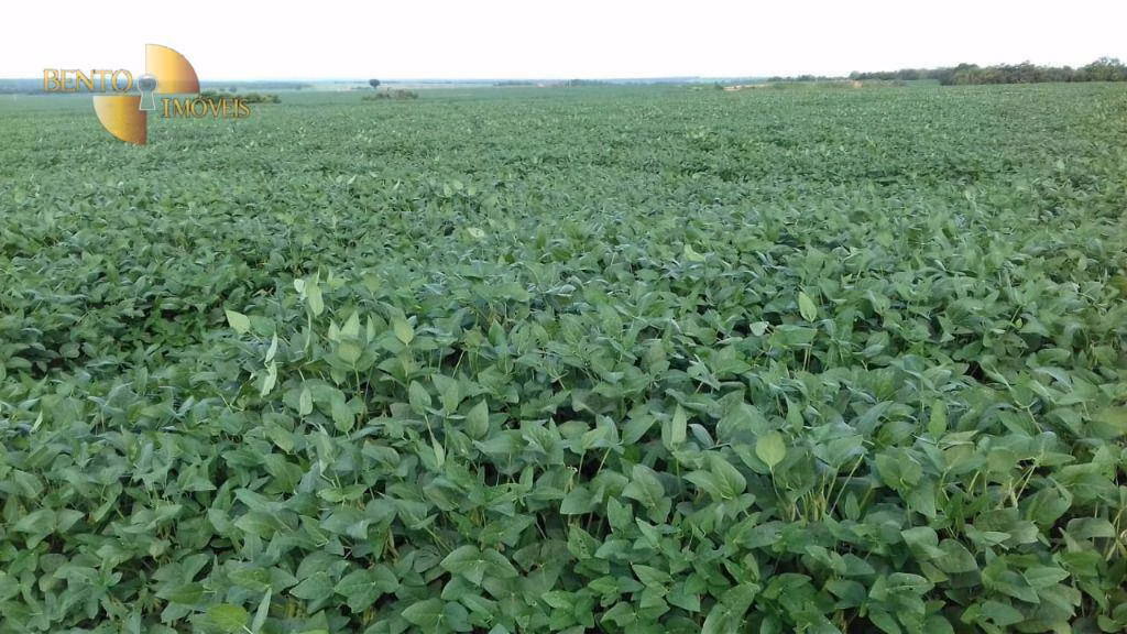 Fazenda de 2.040 ha em Ribeirão Cascalheira, MT