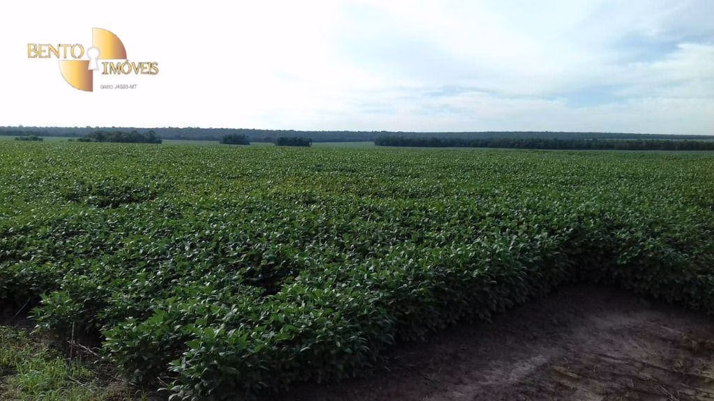 Fazenda de 2.040 ha em Ribeirão Cascalheira, MT