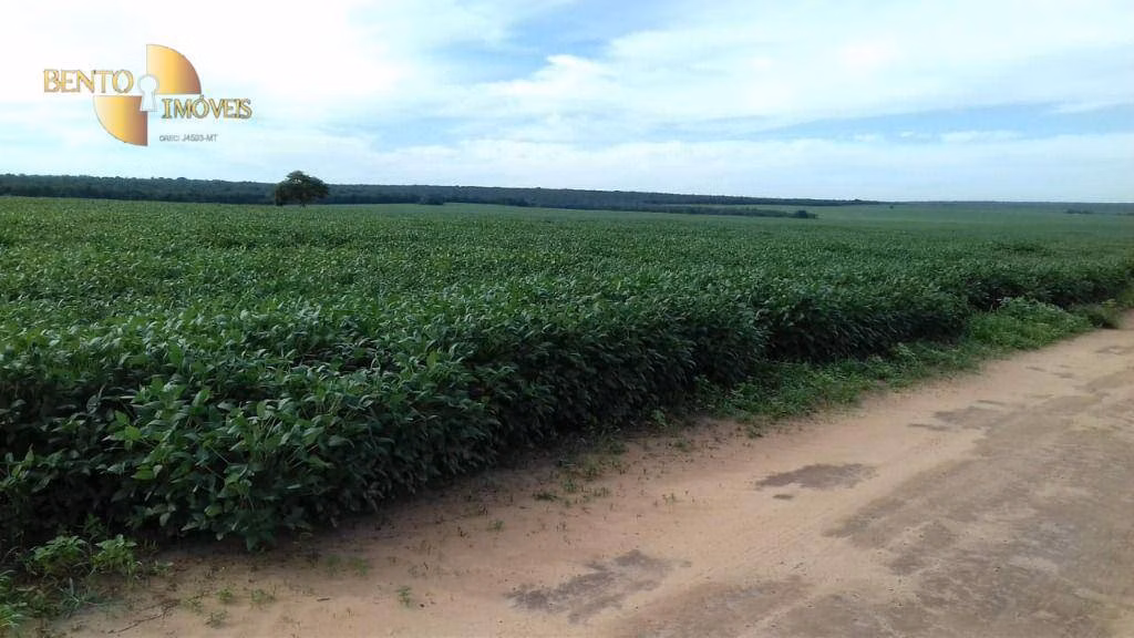 Fazenda de 2.040 ha em Ribeirão Cascalheira, MT