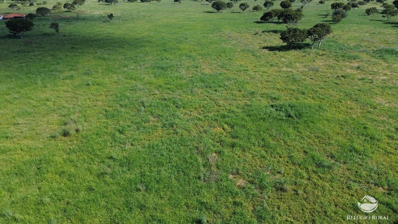 Fazenda de 184 ha em João Pinheiro, MG