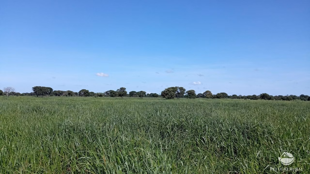 Fazenda de 184 ha em João Pinheiro, MG