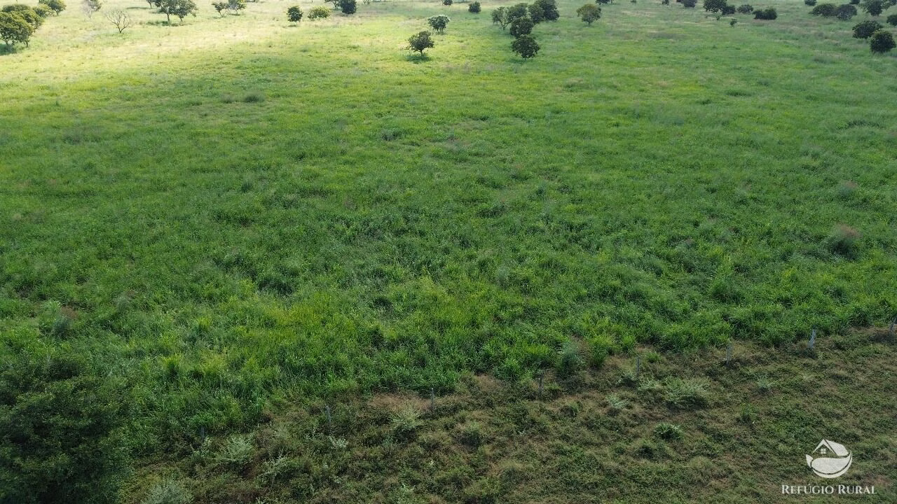 Fazenda de 184 ha em João Pinheiro, MG