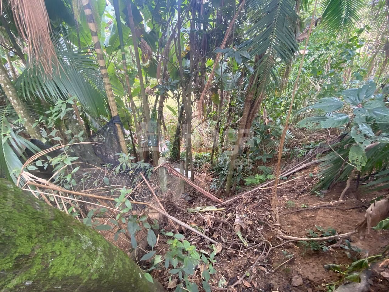 Country home of 2,600 m² in Major Gercino, SC, Brazil