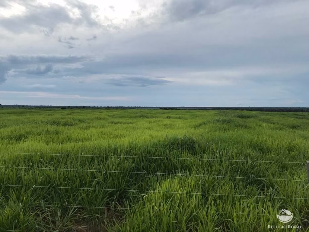 Fazenda de 20.303 ha em Santa Terezinha, MT