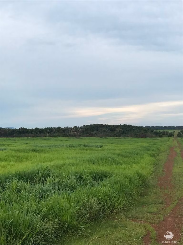 Fazenda de 20.303 ha em Santa Terezinha, MT