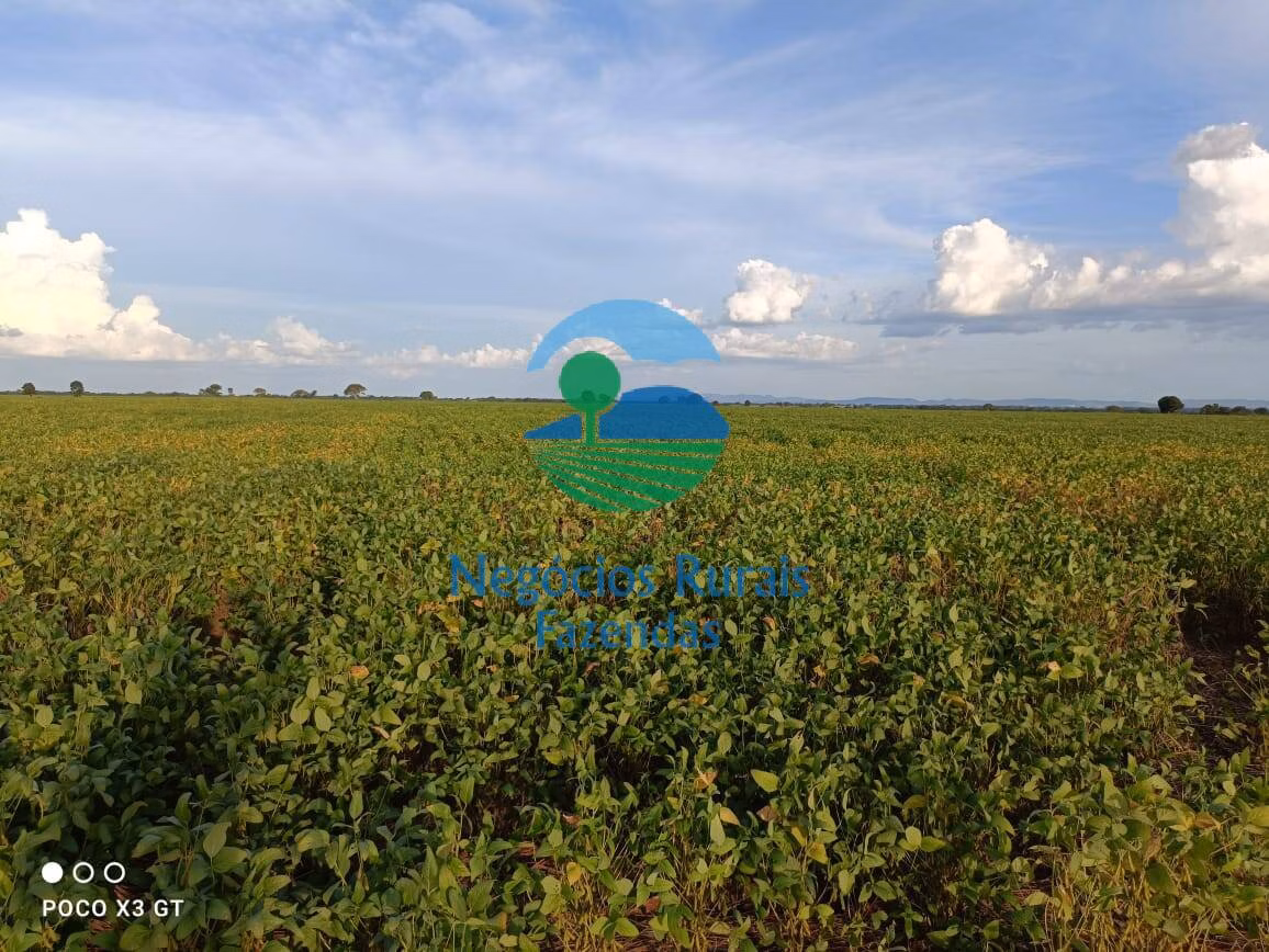 Farm of 1,794 acres in Novo Planalto, GO, Brazil