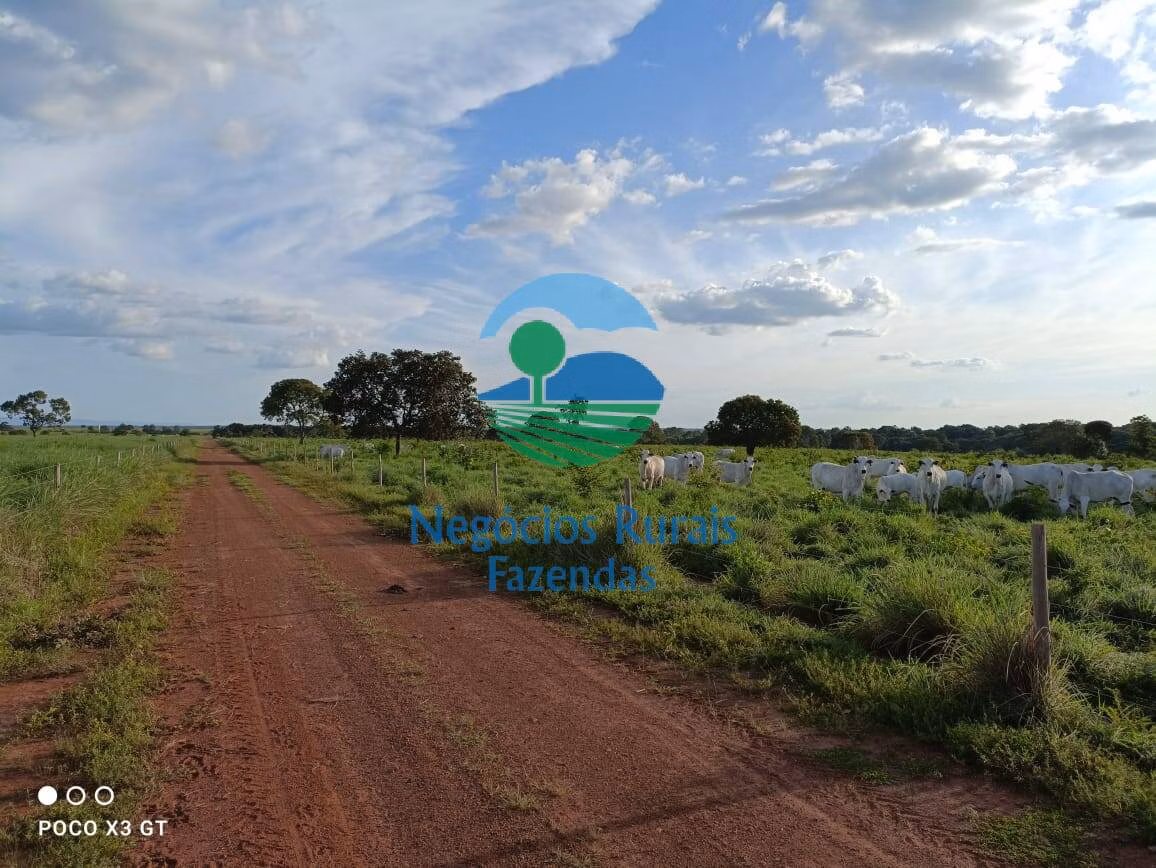 Farm of 1,794 acres in Novo Planalto, GO, Brazil
