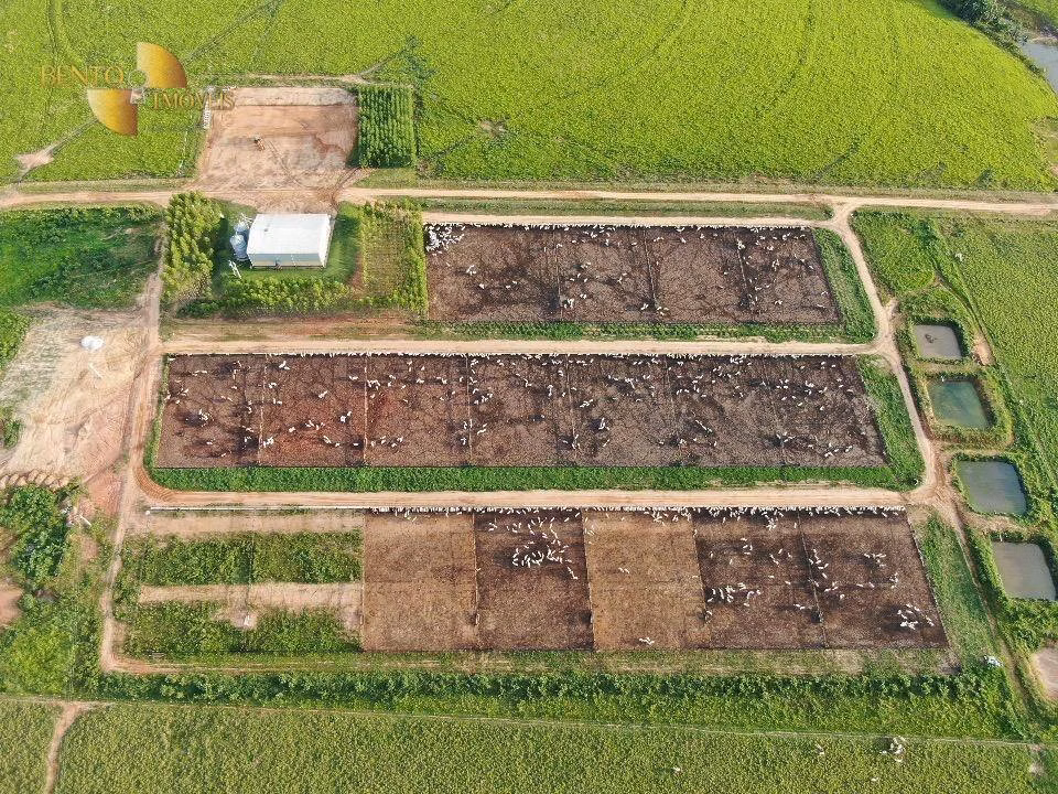 Fazenda de 5.200 ha em Vilhena, RO