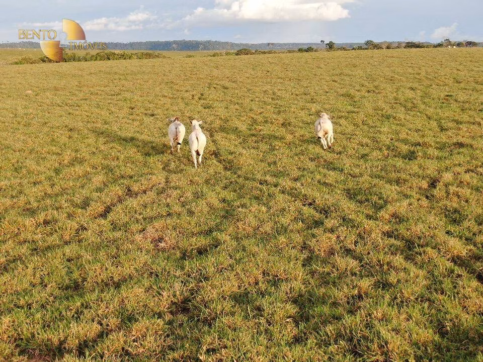 Fazenda de 5.200 ha em Vilhena, RO