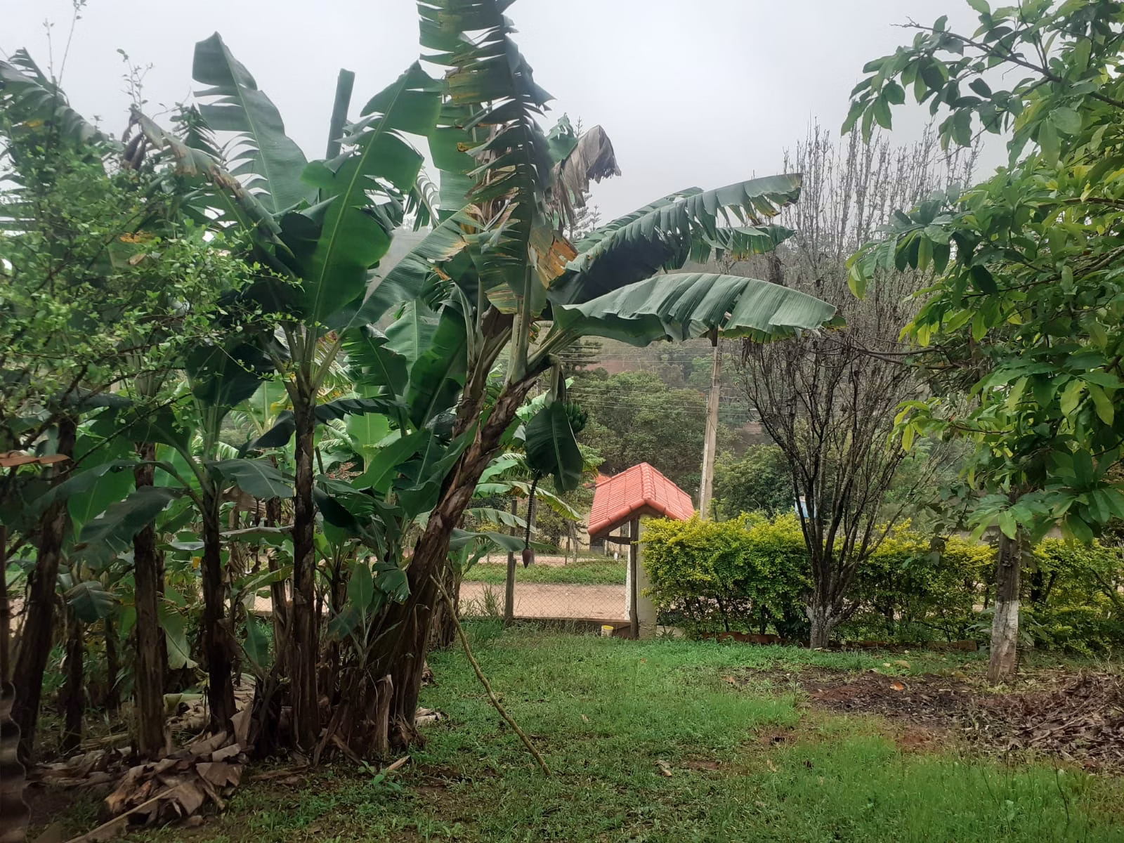 Chácara de 1.387 m² em Paraibuna, SP
