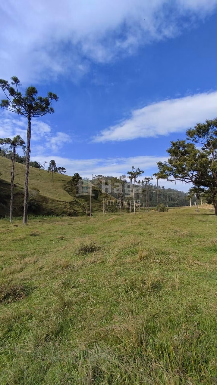 Plot of 25 acres in Angelina, SC, Brazil