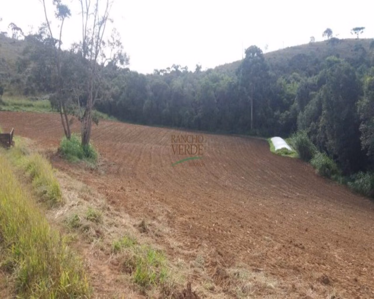 Fazenda de 310 ha em Bocaina de Minas, MG