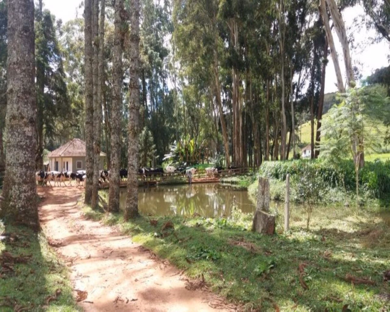 Fazenda de 310 ha em Bocaina de Minas, MG