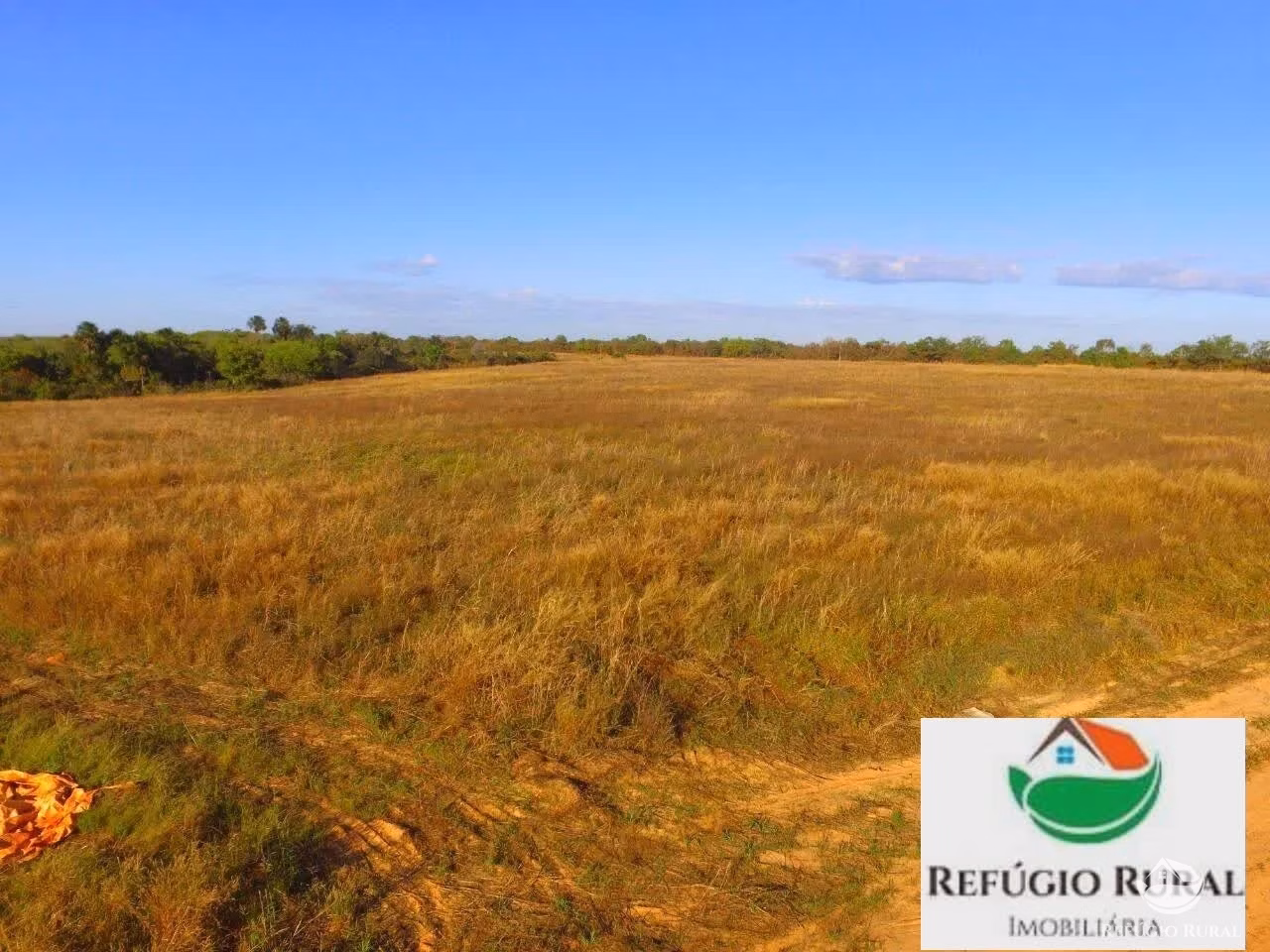 Farm of 9,207 acres in Santa Maria do Tocantins, TO, Brazil