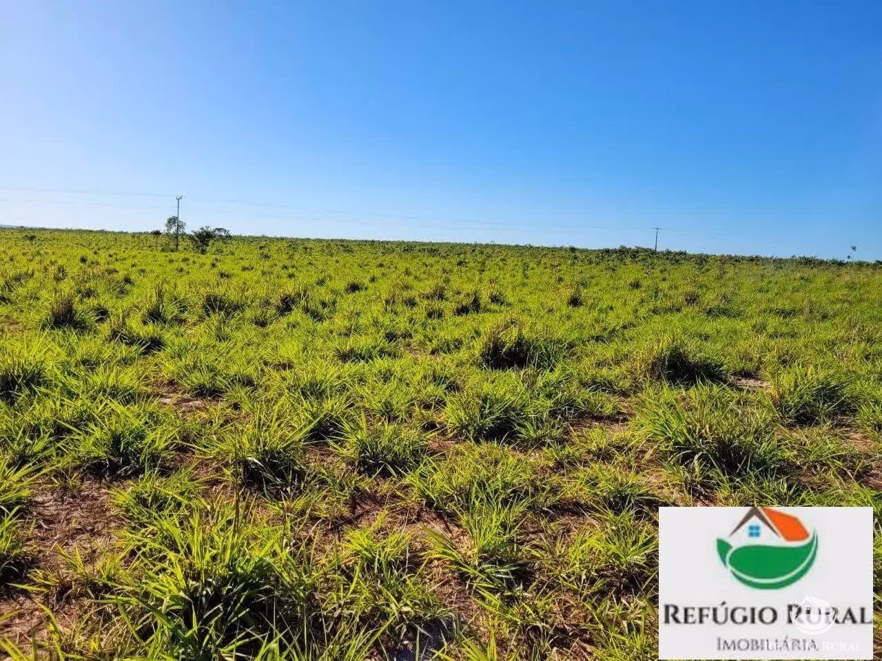 Farm of 9,207 acres in Santa Maria do Tocantins, TO, Brazil