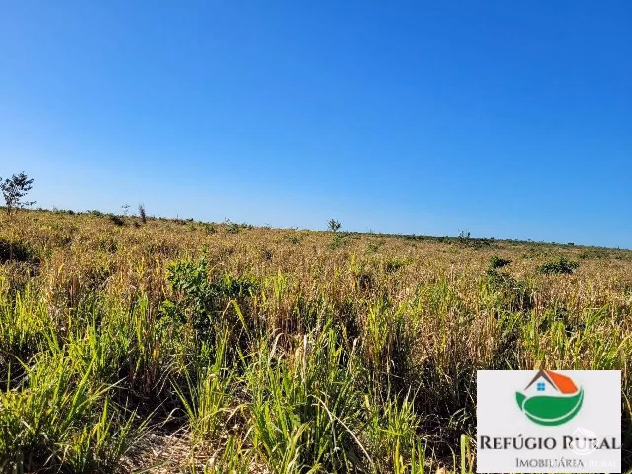 Farm of 9,207 acres in Santa Maria do Tocantins, TO, Brazil