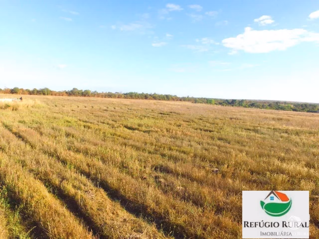 Farm of 9,207 acres in Santa Maria do Tocantins, TO, Brazil