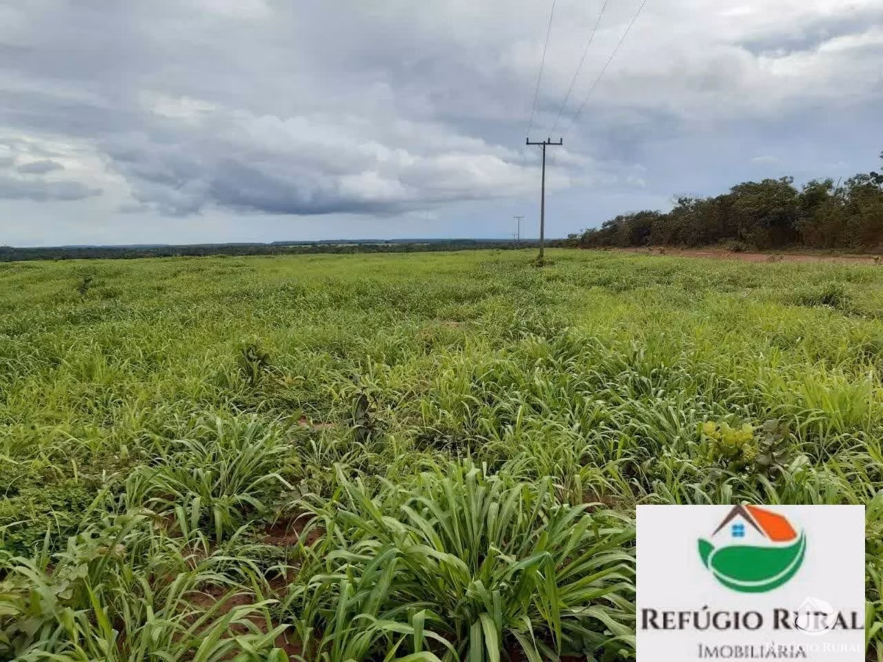 Farm of 9,207 acres in Santa Maria do Tocantins, TO, Brazil