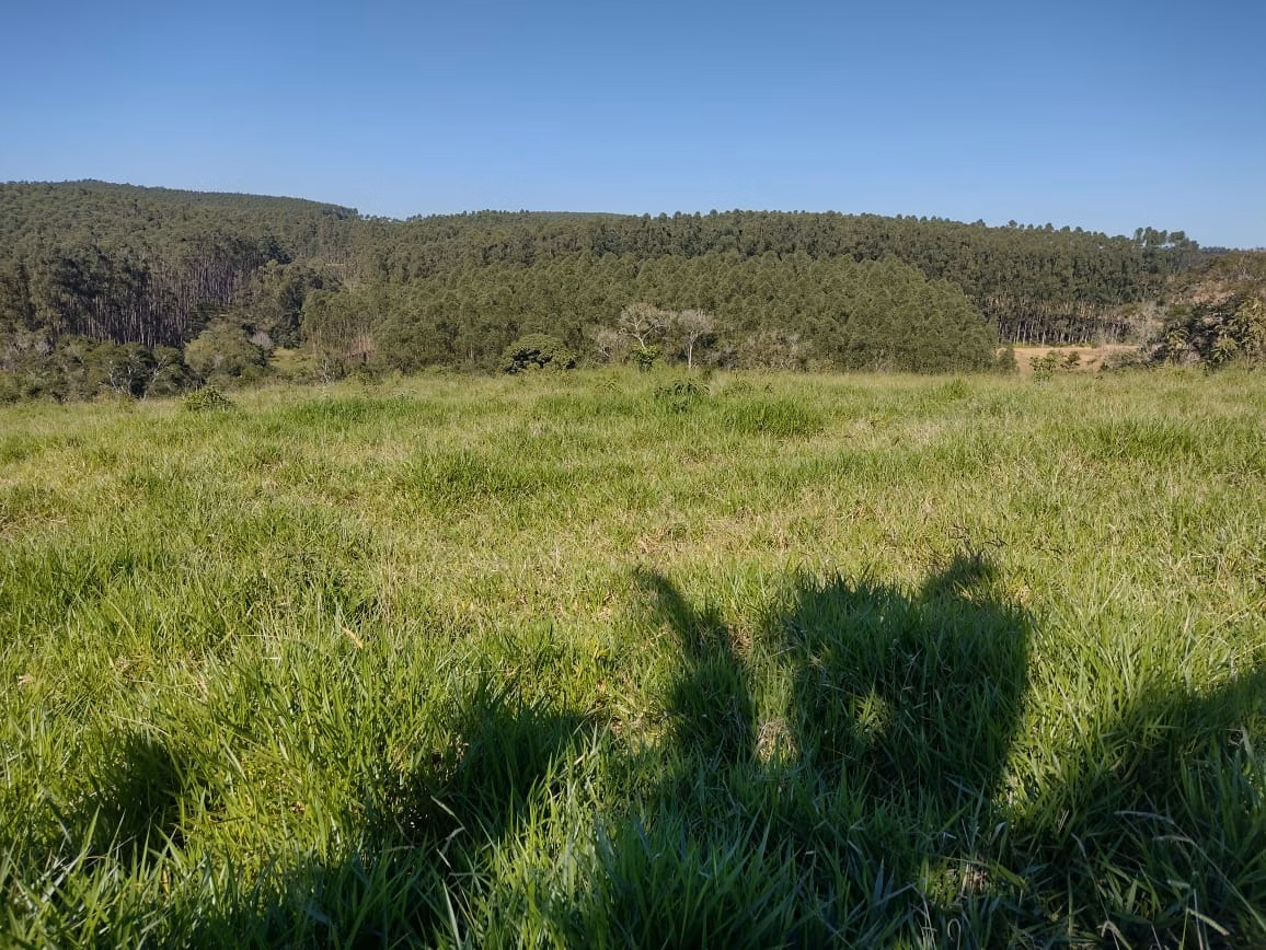 Small farm of 30 acres in Itapetininga, SP, Brazil