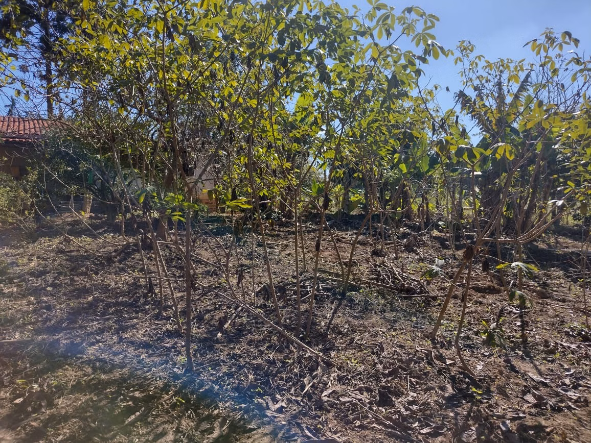Small farm of 30 acres in Itapetininga, SP, Brazil