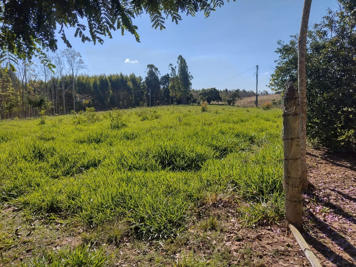 Small farm of 30 acres in Itapetininga, SP, Brazil
