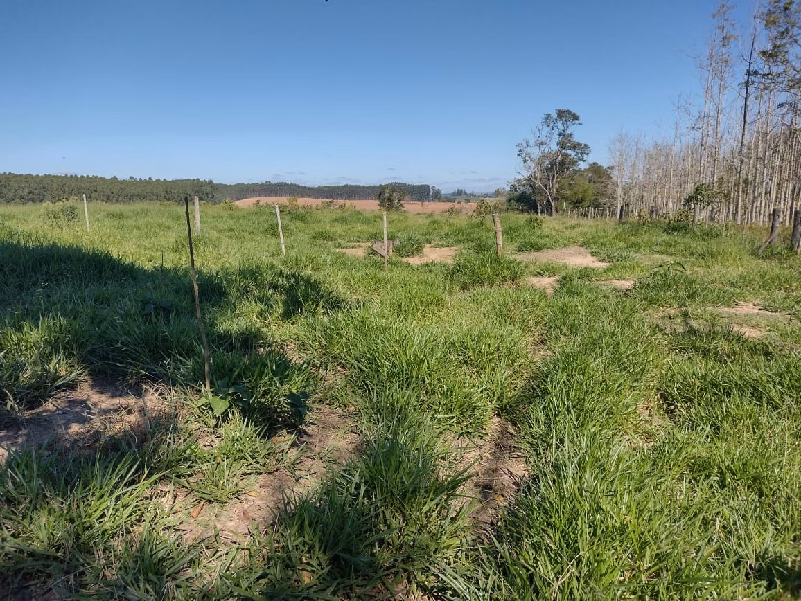 Small farm of 30 acres in Itapetininga, SP, Brazil