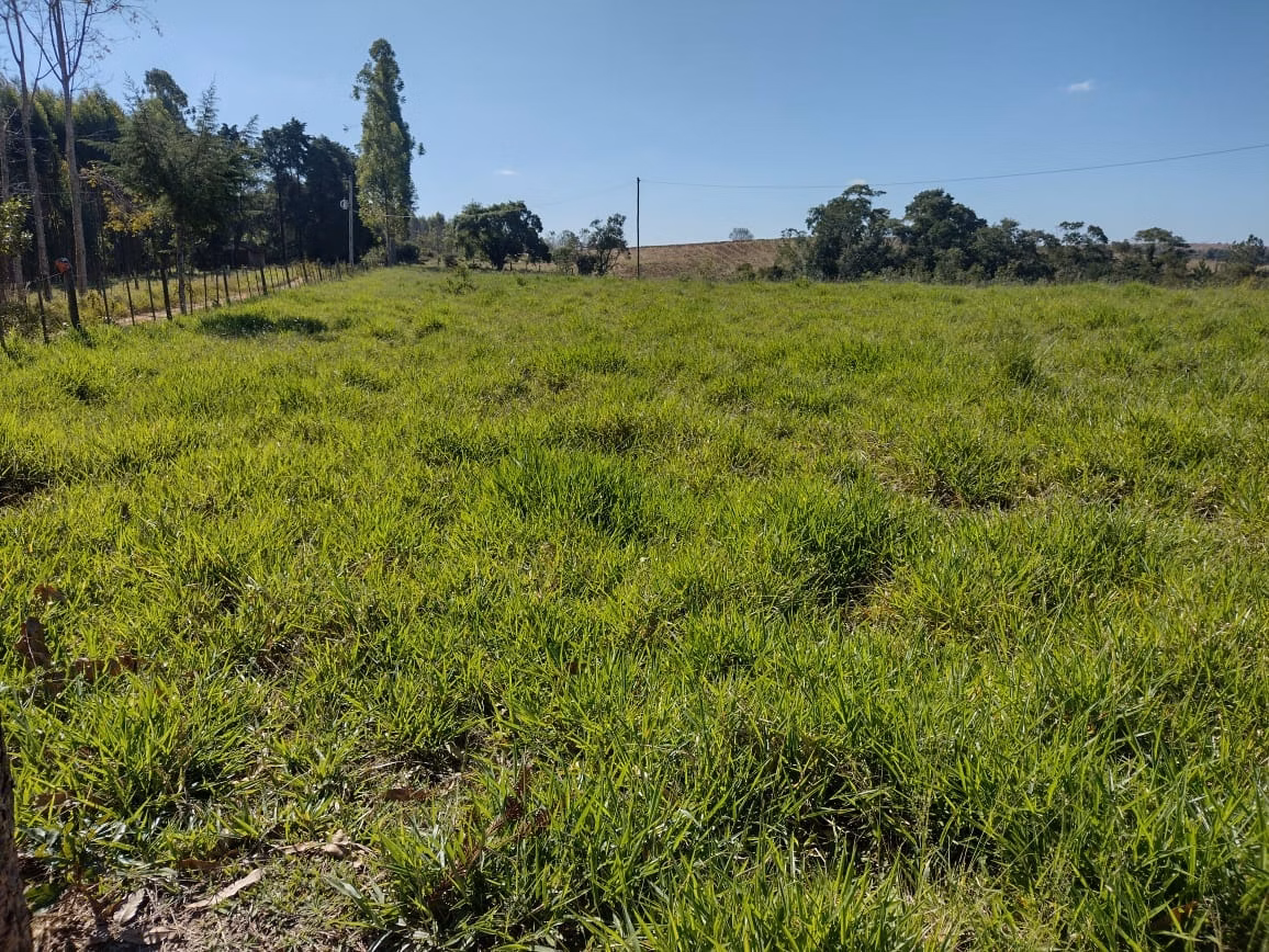 Small farm of 30 acres in Itapetininga, SP, Brazil
