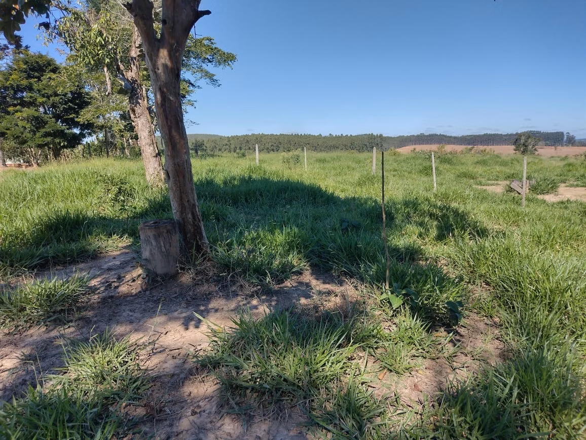 Small farm of 30 acres in Itapetininga, SP, Brazil