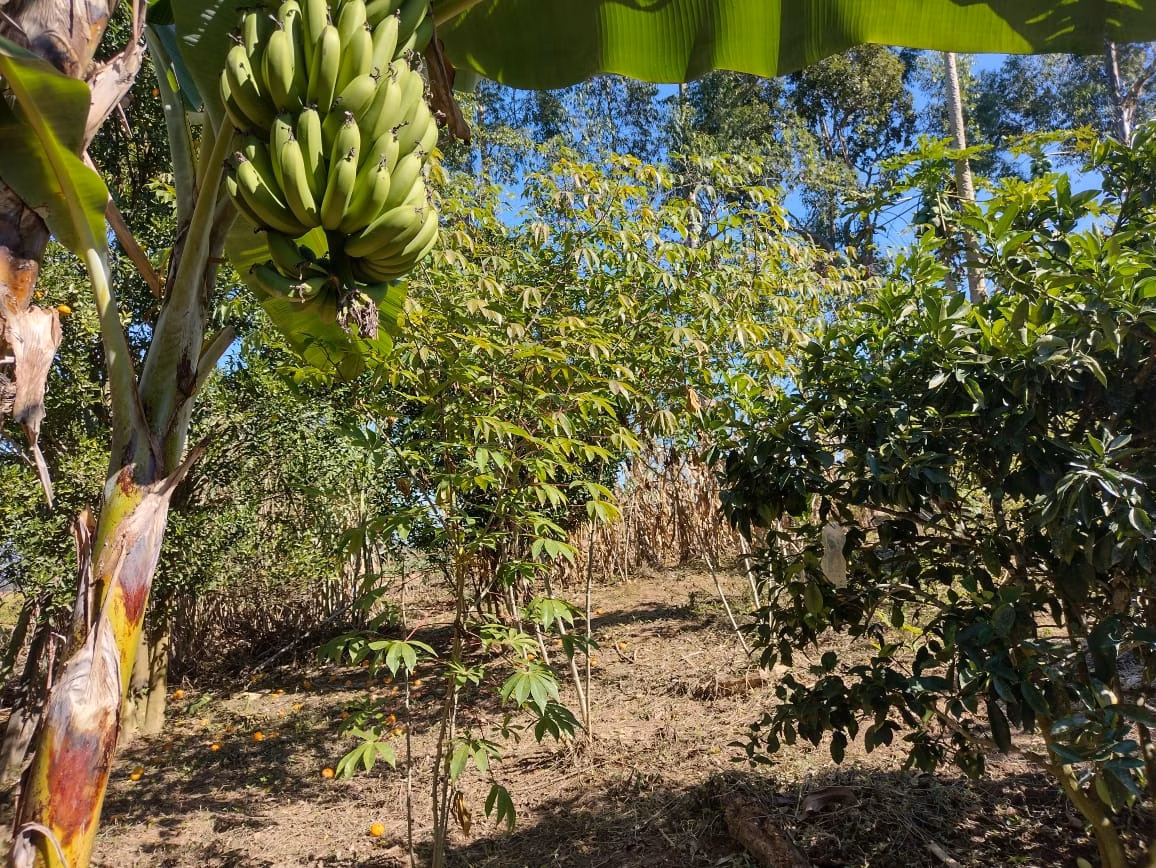 Small farm of 30 acres in Itapetininga, SP, Brazil