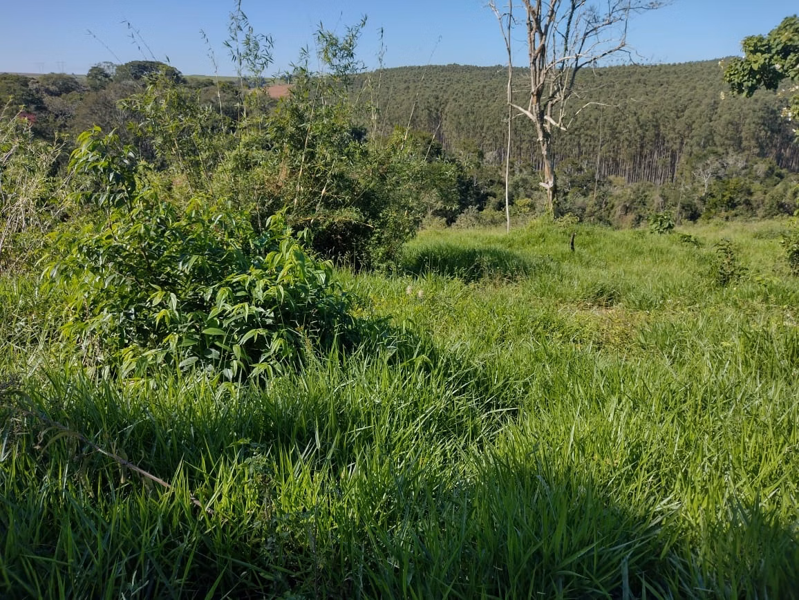 Small farm of 30 acres in Itapetininga, SP, Brazil