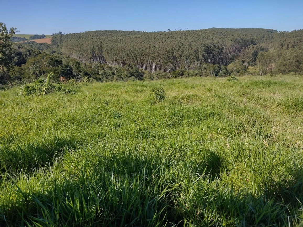 Small farm of 30 acres in Itapetininga, SP, Brazil