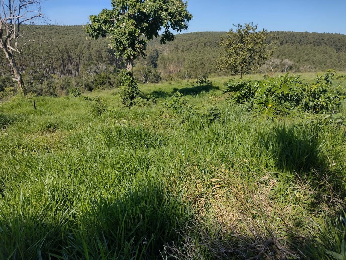 Small farm of 30 acres in Itapetininga, SP, Brazil