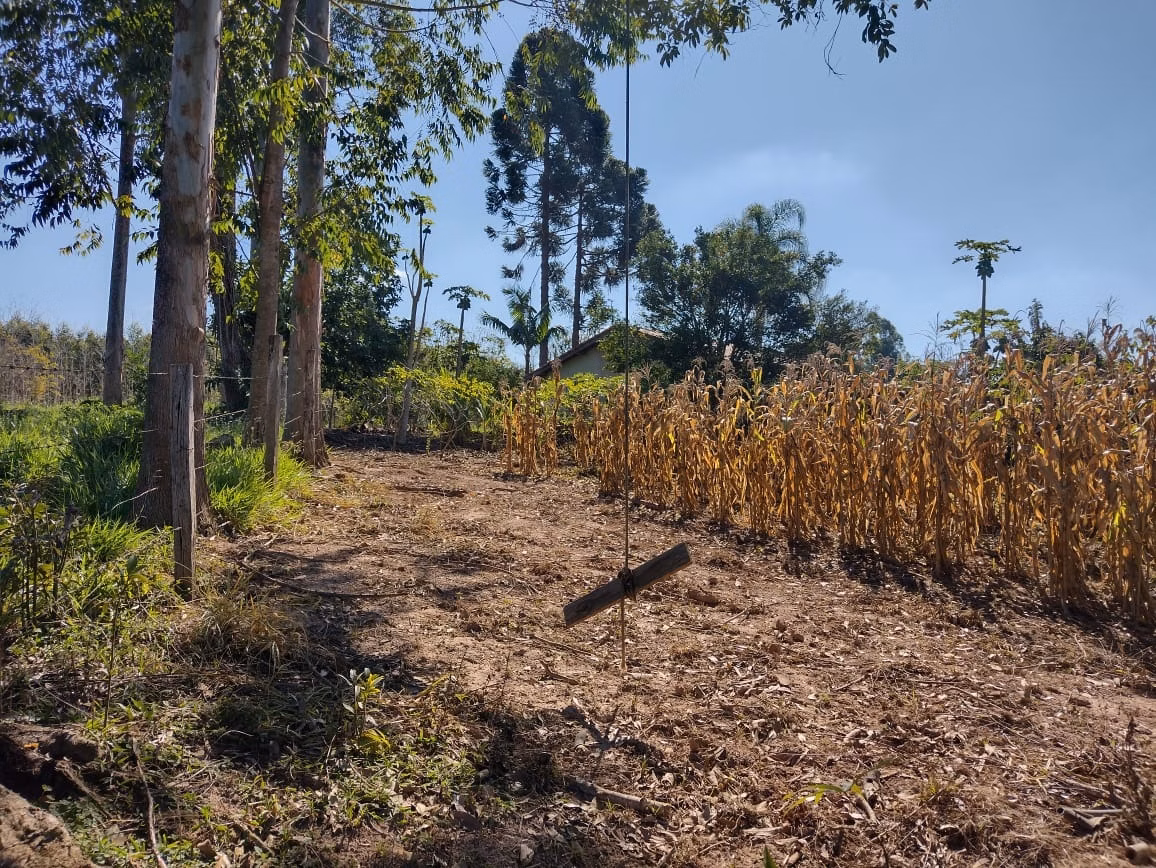 Small farm of 30 acres in Itapetininga, SP, Brazil