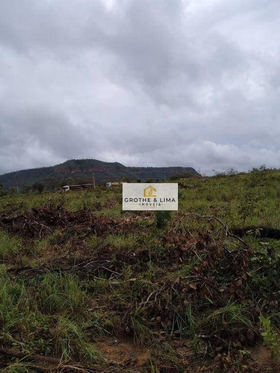 Farm of 24.711 acres in Tasso Fragoso, MA, Brazil