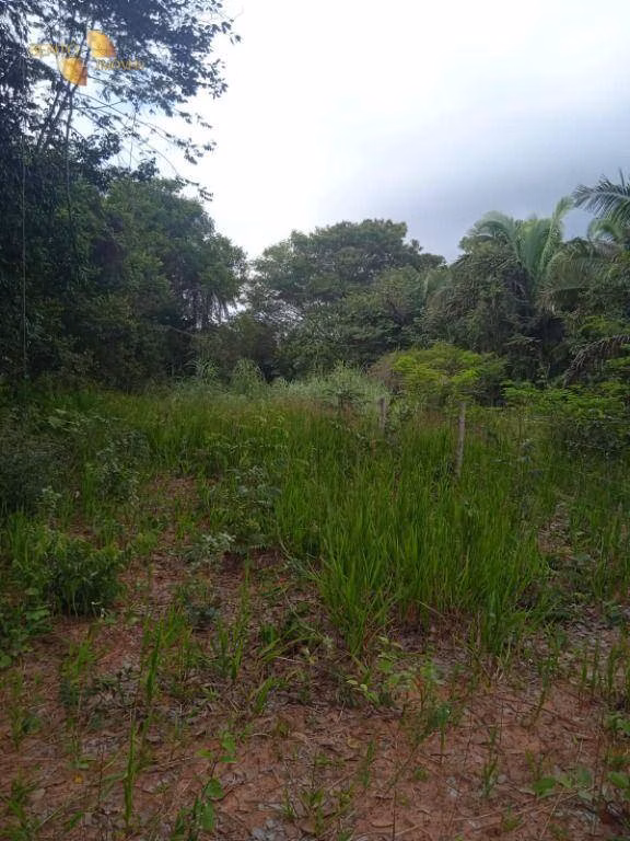 Fazenda de 1.153 ha em Araguaína, TO