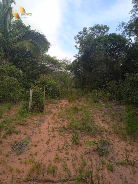 Fazenda de 1.153 ha em Araguaína, TO