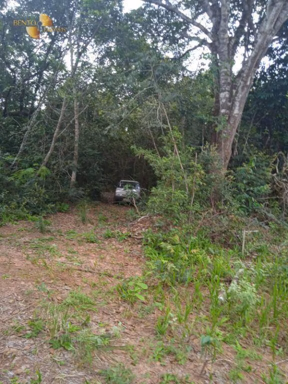 Fazenda de 1.153 ha em Araguaína, TO