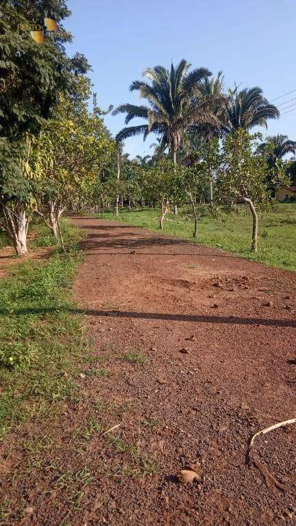 Fazenda de 1.153 ha em Araguaína, TO