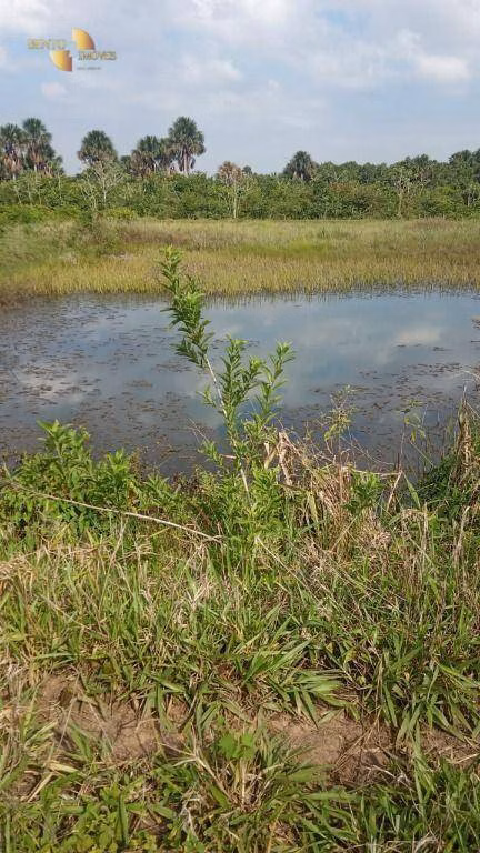 Fazenda de 1.153 ha em Araguaína, TO