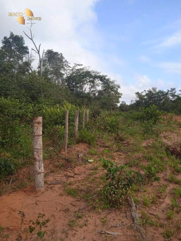 Fazenda de 1.153 ha em Araguaína, TO